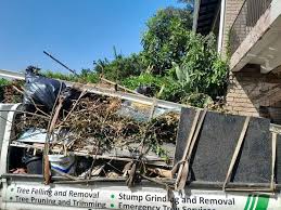 Junk Removal for Events in Trenton, MI